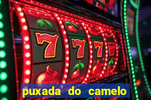 puxada do camelo no jogo do bicho